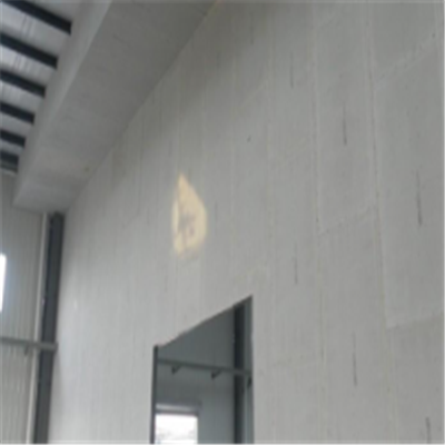 莱阳宁波ALC板|EPS加气板隔墙与混凝土整浇联接的实验研讨